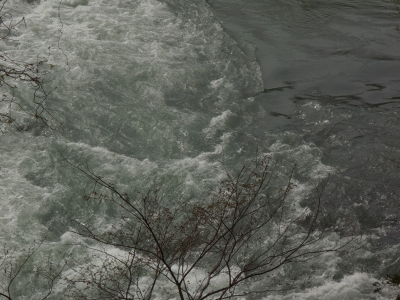 b0177233_4561174.jpg