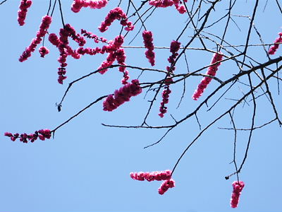 e0022839_03367.jpg