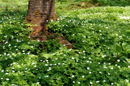 c0204740_22413227.jpg