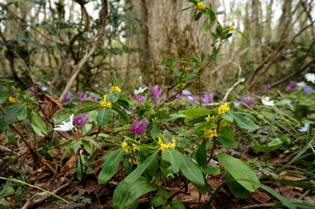 c0204740_2332636.jpg