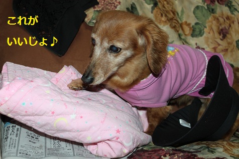 c0206342_16133459.jpg