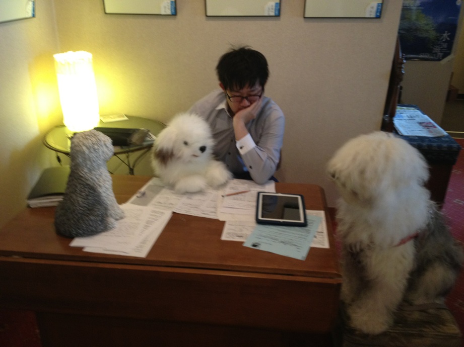 むくいぬの宿モコモコ荘 経営者会議 人もすなるブログといふものを 犬もしてみむとするなり むくいぬの宿モコモコ荘 経営者会議 人もすなるブログといふものを 犬もしてみむとするなり