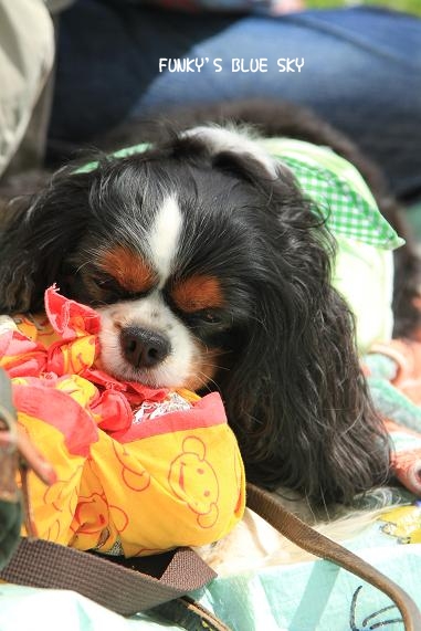 c0145250_12565170.jpg