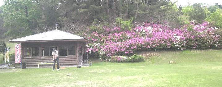 e0082956_5541781.jpg