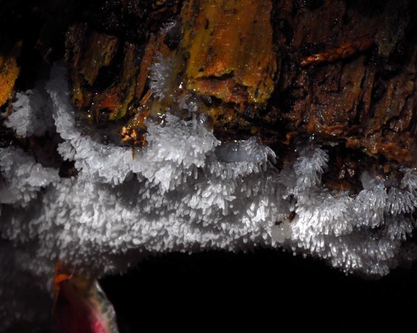 e0035757_1844061.jpg