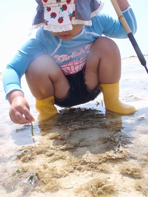 c0180460_1132413.jpg