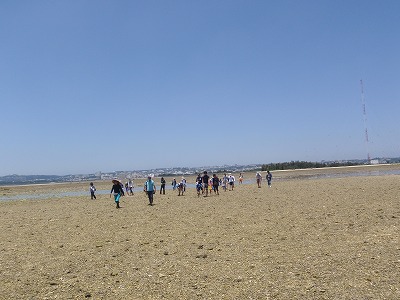 c0180460_1350856.jpg
