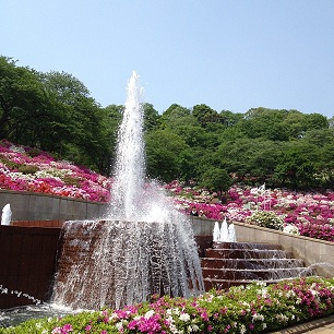 f0221360_16172983.jpg