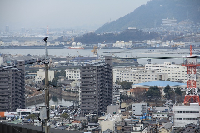 月が丘公園と月が丘団地_b0095061_725797.jpg