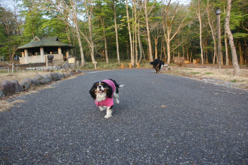 鏡ヶ成キャンプ場♪　一日目_f0161964_23162358.jpg