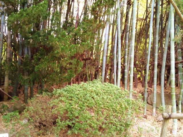 e0126576_17515972.jpg