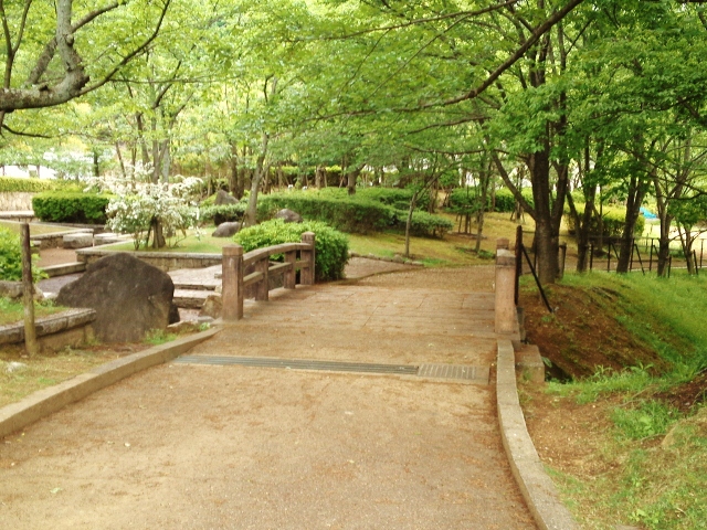 e0126576_1754620.jpg