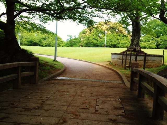 e0126576_17562610.jpg