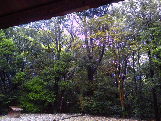 d0024277_39376.jpg