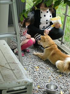 エサをあげたい♪_f0172281_16533440.jpg