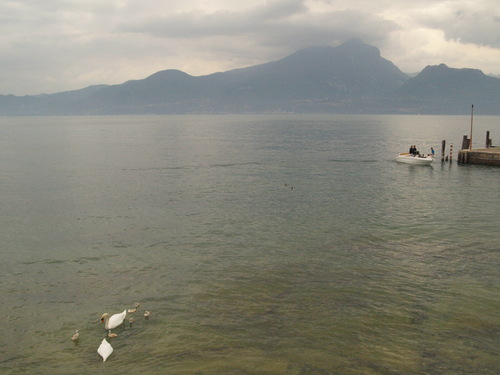 イタリアで一番大きな湖ーーガルダ湖へ!!_c0179785_612178.jpg