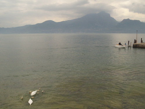  イタリアで一番大きな湖ーーガルダ湖へ！！_c0179785_612178.jpg