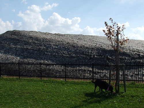 e0160787_1314652.jpg