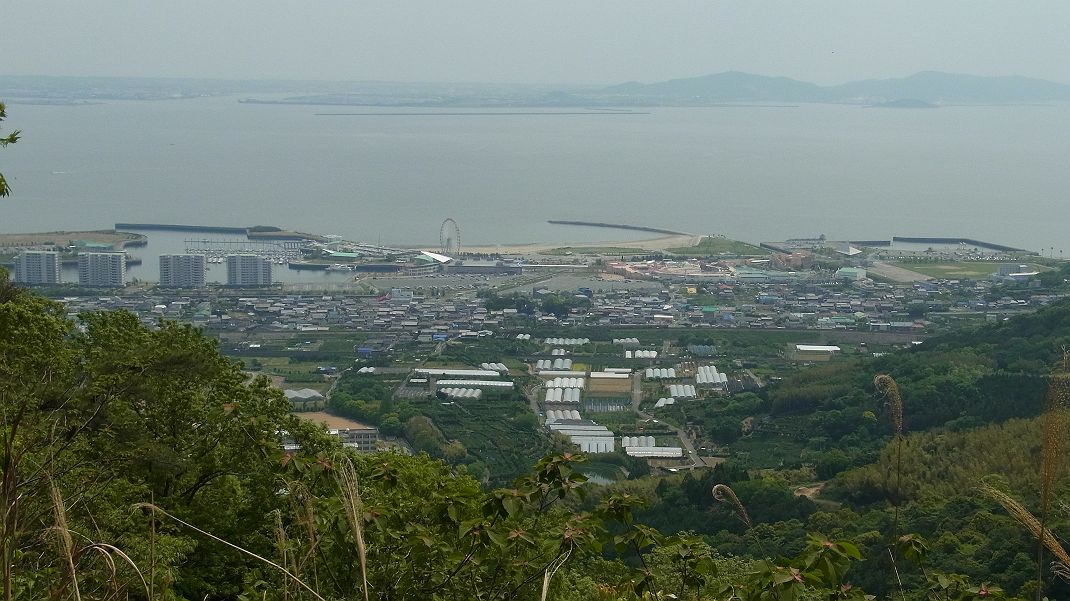 a0152692_18384135.jpg