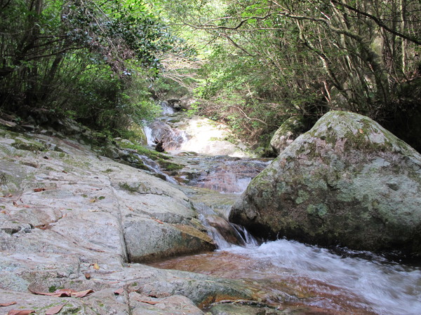 鹿児島遠征の5岳～④甫与志岳を登る　　2012・5・4_a0166196_16422596.jpg