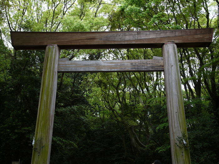 f0227396_13555852.jpg