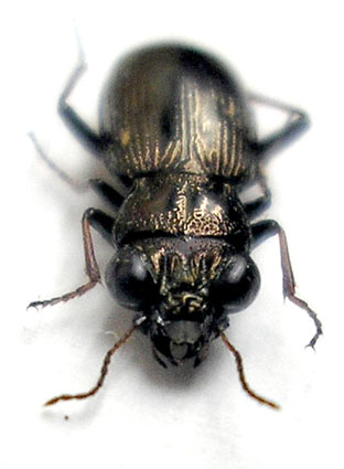 e0083097_0493872.jpg