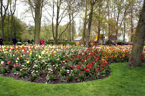 c0090198_4221650.jpg