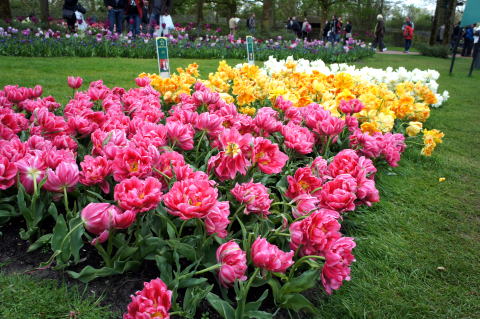 c0090198_4282940.jpg