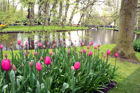 c0090198_4295229.jpg