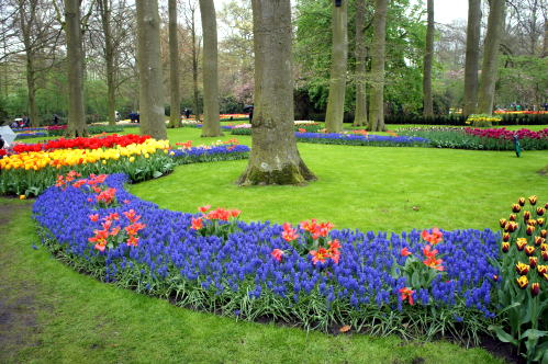 c0090198_43414.jpg