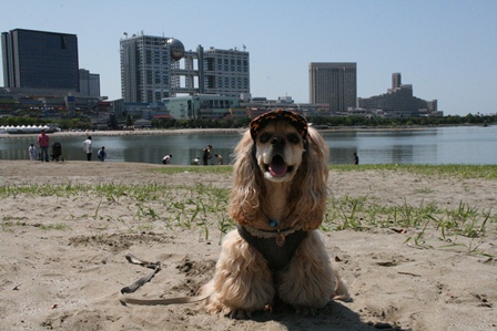 c0128303_8592832.jpg