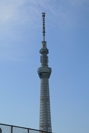 c0128303_85998.jpg