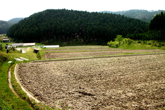 氷室の里（1）_e0048413_19533349.jpg