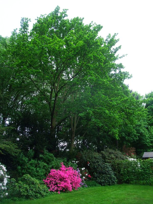 e0116315_22325338.jpg