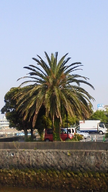 ろう・難聴を生きる5月広報_d0070316_1421121.jpg