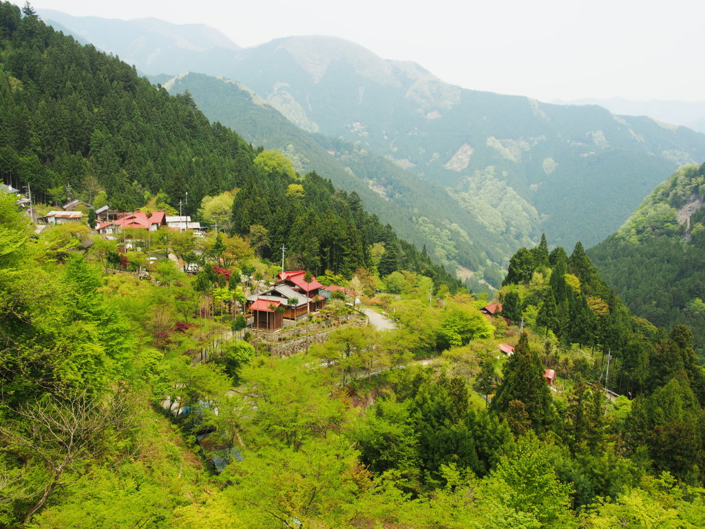 d0192516_14185352.jpg