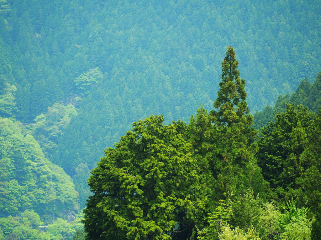 d0192516_14193057.jpg