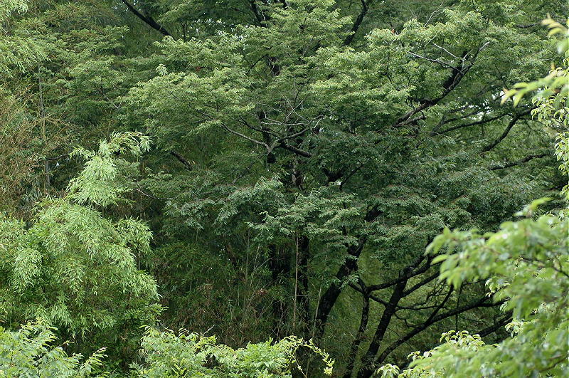 b0037323_0144321.jpg