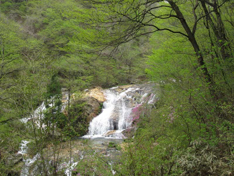 小雨の日光　大山トレッキング。_d0000031_16145579.jpg