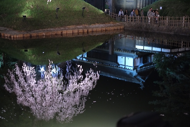 弘前の桜　X-Pro1夜桜編 2012_e0168232_9202699.jpg