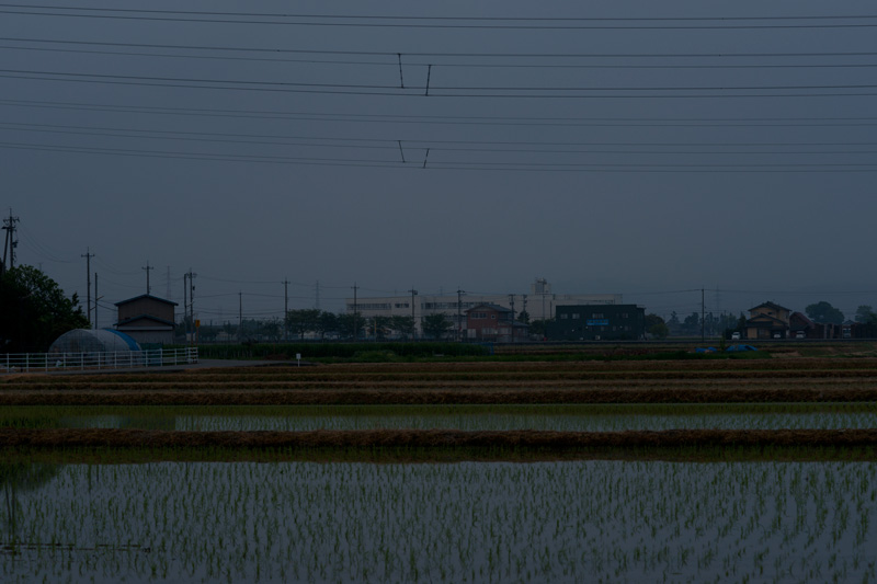 b0177233_10361481.jpg
