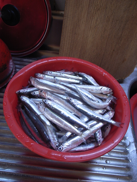 c0166034_232790.jpg