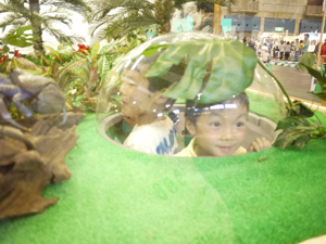 f0140938_203114.jpg