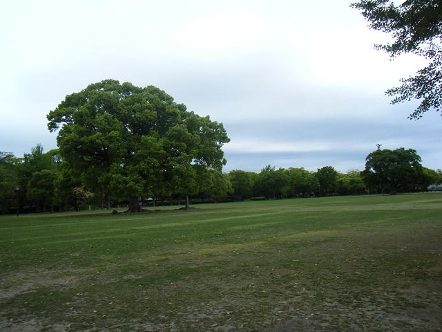 b0102639_1783812.jpg