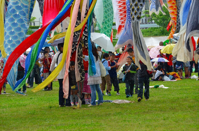 泉川遊水地のこいのぼり祭り_c0220040_2335953.jpg