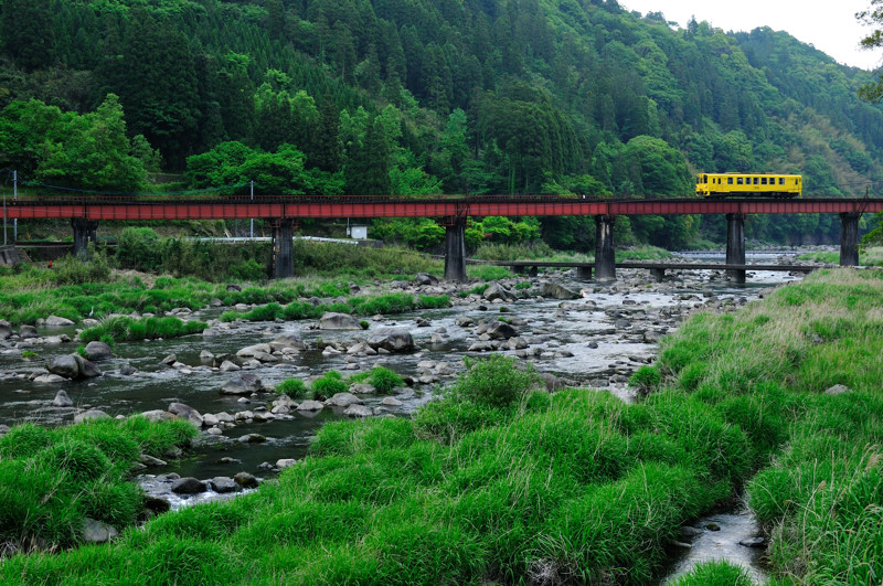b0190445_20523611.jpg