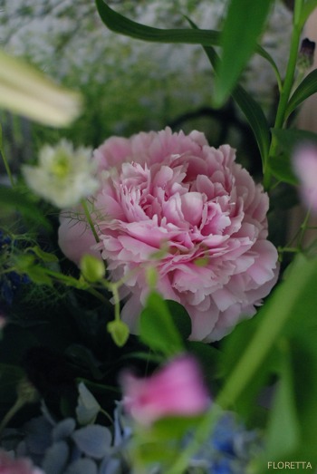 サラベルの香り Floretta Diary サラベルの香り Floretta Diary