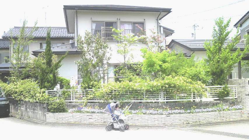 e0082956_5553365.jpg