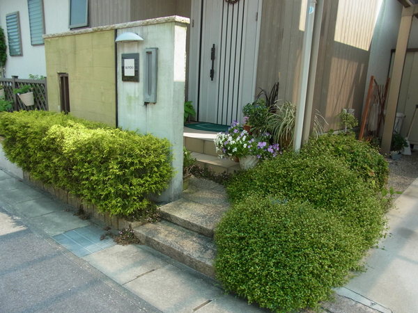 b0194267_2024213.jpg
