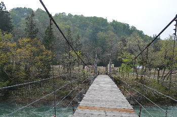 f0168873_12550.jpg
